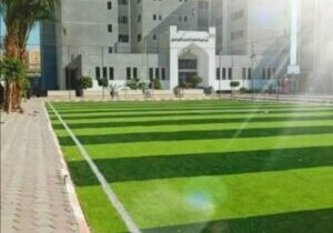 WhatsApp Image 2025-03-19 at 15.14.59